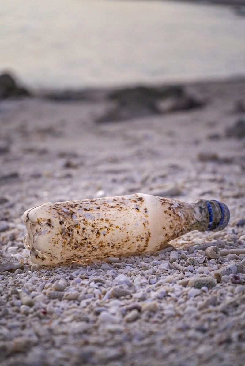 Plastic Bottle Sculptures